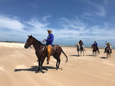 Brazil-Alagoas-The Coconut Trail Ride